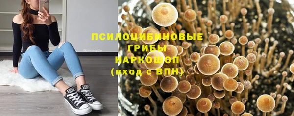 гашик Новый Уренгой