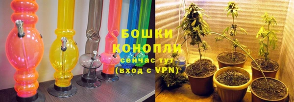 экстази Гусев