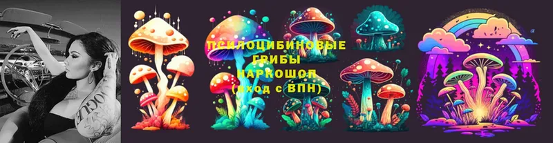 Галлюциногенные грибы Psilocybine cubensis  закладка  кракен как войти  Жуковка 