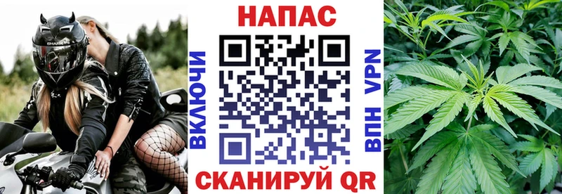 где купить наркотик  Жуковка  Шишки марихуана тримм 
